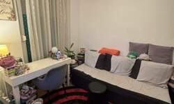 Jednoiposoban stan, Novi Sad, izdavanje, 33m2, 350e, id1461782