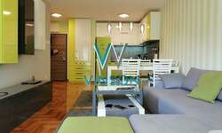 Jednoiposoban stan, Novi Sad, Grbavica, izdavanje, 50m2, 550e, id1461372