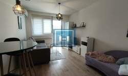 Garsonjera, Jagodina, izdavanje, 24m2, 180e, id1463662