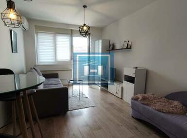 Garsonjera, Jagodina, izdavanje, 24m2, 180e, id1463662