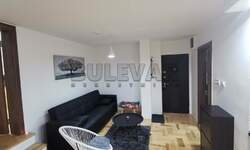 Jednoiposoban stan, Niš, Čair, izdavanje, 54m2, 380e, id1463663