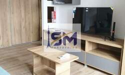 Dvosoban stan, Beograd, Crveni Krst, izdavanje, 40m2, 500e, id1463684