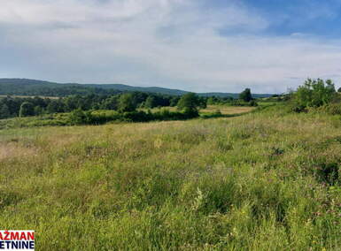 Plac, Boljevac, prodaja, 20000m2, 5000e, id1463726