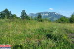 Plac, Boljevac, prodaja, 20000m2, 5000e, id1463726