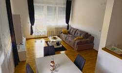 Jednosoban stan, Niš, Tehnički fakultet, izdavanje, 47m2, 400e, id1463727