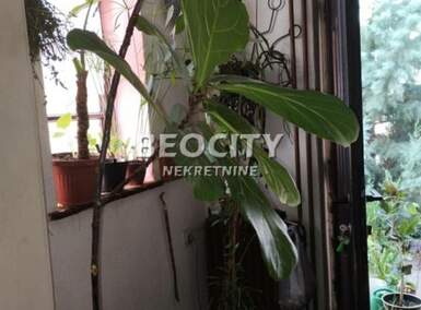 Kuca, Novi Sad, Bulevar Oslobođenja, prodaja, 160m2, 500000e, id1464118