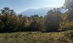 Plac, Boljevac, Lukovo, prodaja, 0m2, 26500e, id822358