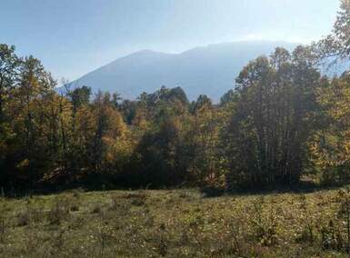 Plac, Boljevac, Lukovo, prodaja, 0m2, 26500e, id822358