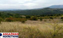 Plac, Boljevac, Vrbovac, prodaja, 0m2, 50000e, id806989