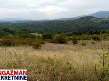 Plac, Boljevac, Vrbovac, prodaja, 0m2, 50000e, id806989