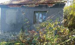 Kuca, Boljevac, Bačevica, prodaja, 72m2, 9000e, id822356