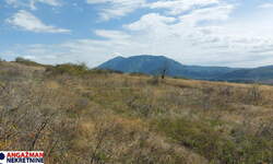 Plac, Boljevac, Krivi Vir, prodaja, 0m2, 3500e, id1449429