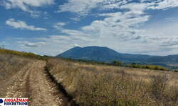 Plac, Boljevac, Krivi Vir, prodaja, 0m2, 7500e, id1449428