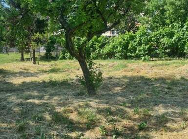 Plac, Beograd, Resnik, prodaja, 1500m2, 75000e, id792115