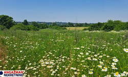 Plac, Beograd, Veliki Borak, prodaja, 0m2, 78000e, id1396063