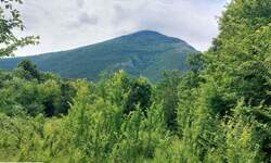 Plac, Boljevac, Mirovo, prodaja, 0m2, 8500e, id1391750