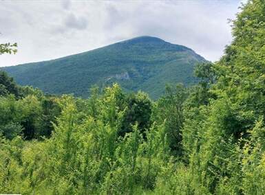 Plac, Boljevac, Mirovo, prodaja, 0m2, 8500e, id1391750