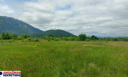 Plac, Boljevac, Mirovo, prodaja, 0m2, 27000e, id1391751