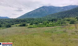 Plac, Boljevac, Mirovo, prodaja, 0m2, 7500e, id1391753