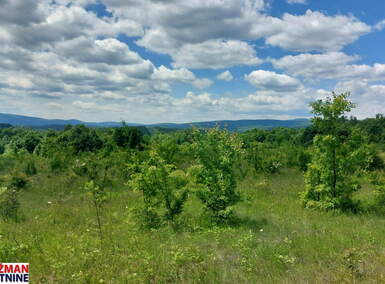 Plac, Boljevac, Mirovo, prodaja, 0m2, 40600e, id1390076