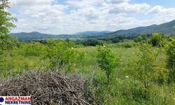 Plac, Boljevac, Mirovo, prodaja, 0m2, 12000e, id1390078