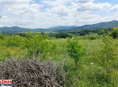 Plac, Boljevac, Mirovo, prodaja, 0m2, 12000e, id1390078