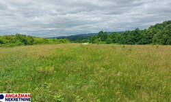 Plac, Boljevac, Mirovo, prodaja, 0m2, 26500e, id1390079