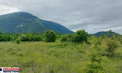 Plac, Boljevac, Mirovo, prodaja, 0m2, 15500e, id1390080