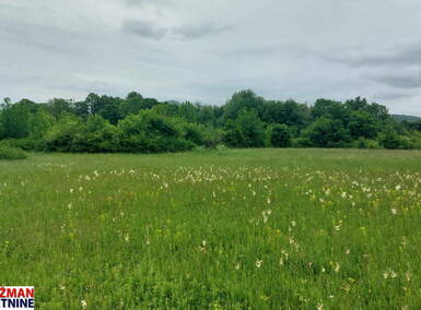 Plac, Boljevac, Mirovo, prodaja, 0m2, 9000e, id1389766