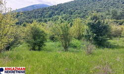 Plac, Boljevac, Mirovo, prodaja, 0m2, 7000e, id1389767