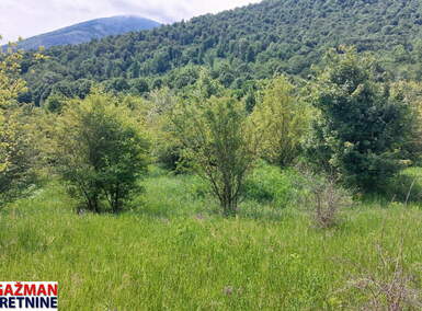 Plac, Boljevac, Mirovo, prodaja, 0m2, 7000e, id1389767