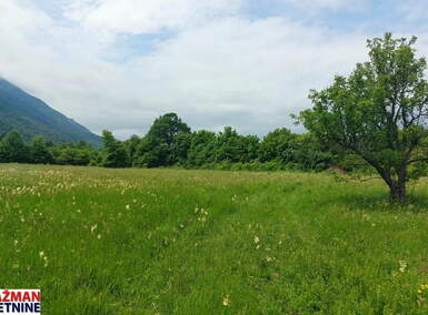 Plac, Boljevac, Mirovo, prodaja, 0m2, 75000e, id1389181