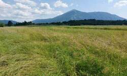 Plac, Boljevac, Mali Izvor, prodaja, 0m2, 10000e, id1382842