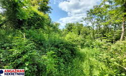 Plac, Beograd, Popović, prodaja, 0m2, 33000e, id1382249