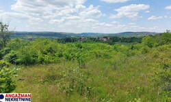 Plac, Beograd, Mala Ivanča, prodaja, 0m2, 84000e, id1382252