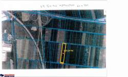 Plac, Beograd, Dobanovci, prodaja, 0m2, 1650000e, id1296493