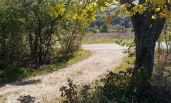 Plac, Boljevac, Bačevica, prodaja, 0m2, 18500e, id1284162