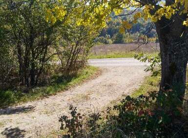 Plac, Boljevac, Bačevica, prodaja, 0m2, 18500e, id1284162