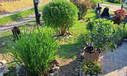 Kuca, Boljevac, Valakonje, prodaja, 272m2, 150000e, id1272015