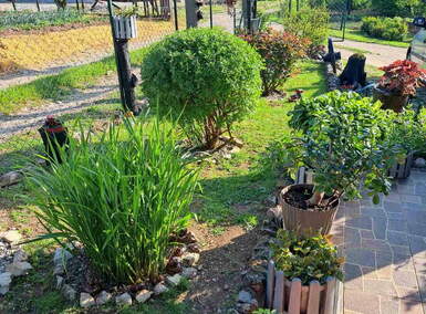 Kuca, Boljevac, Valakonje, prodaja, 272m2, 150000e, id1272015