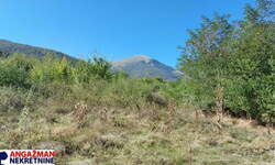 Plac, Boljevac, Ilino, prodaja, 0m2, 8350e, id1265541