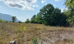 Plac, Boljevac, Ilino, prodaja, 0m2, 41500e, id1265542