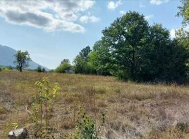 Plac, Boljevac, Ilino, prodaja, 0m2, 41500e, id1265542