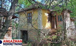 Kuca, Boljevac, Ilino, prodaja, 45m2, 38000e, id1261890