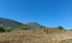 Plac, Boljevac, Ilino, prodaja, 0m2, 31200e, id1261891