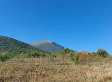 Plac, Boljevac, Ilino, prodaja, 0m2, 31200e, id1261891