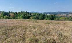 Plac, Boljevac, Bačevica, prodaja, 0m2, 13900e, id1251899