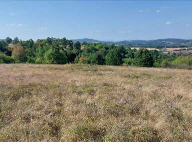 Plac, Boljevac, Bačevica, prodaja, 0m2, 13900e, id1251899