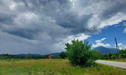 Plac, Boljevac, Bačevica, prodaja, 0m2, 40000e, id1248966