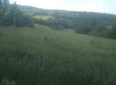 Plac, Beograd, Babe, prodaja, 0m2, 90000e, id1241677